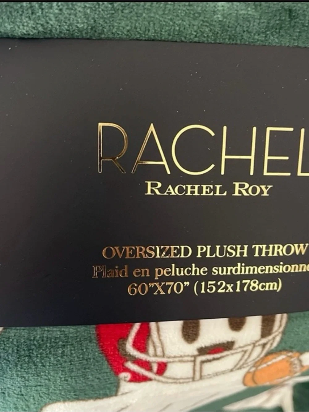 Rachel Roy Green Ghost Football Blanket